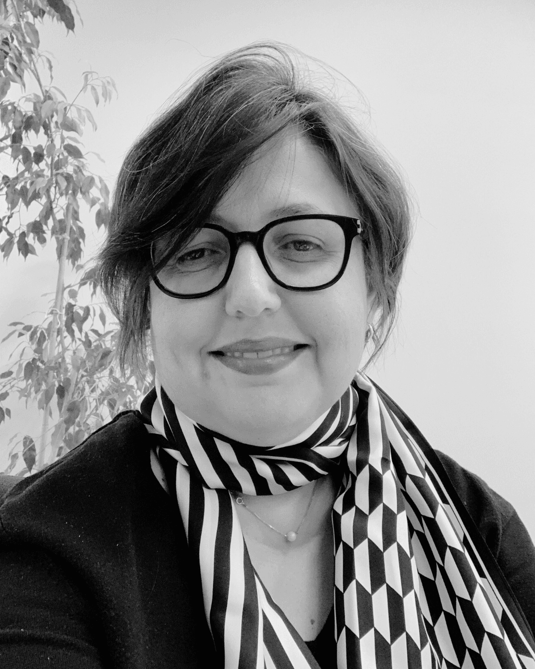 Envera Jahovic Saraylı